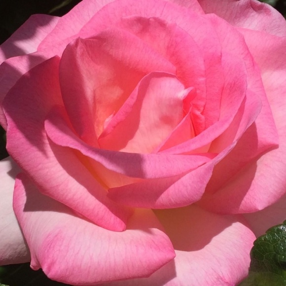 Open to offers! Ask about shipping discounts - Picture 2 of 3